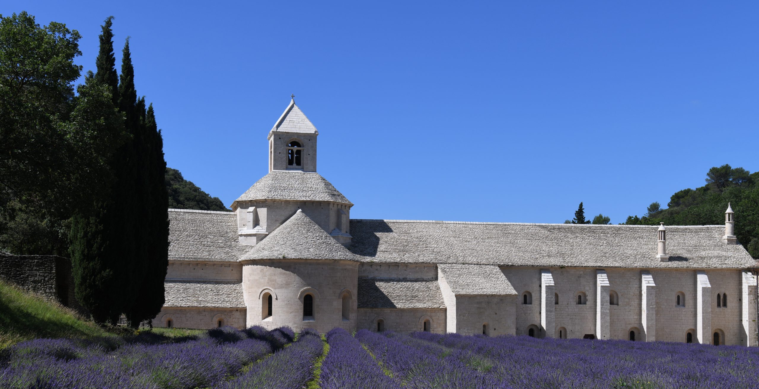 Nectar de Lavande - Abbaye de Sénanque