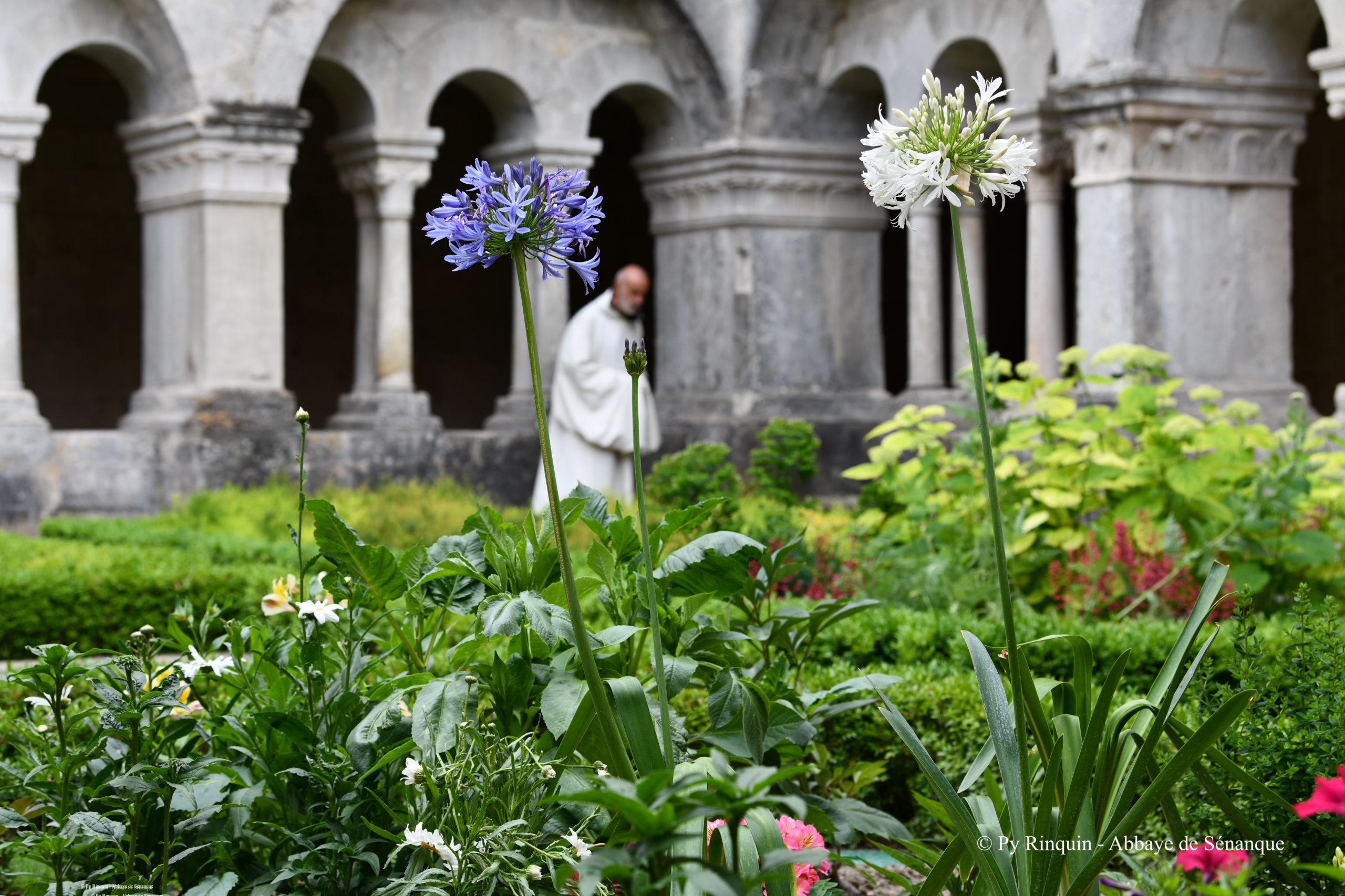 Jardiniers de l'âme - Abbaye de Sénanque